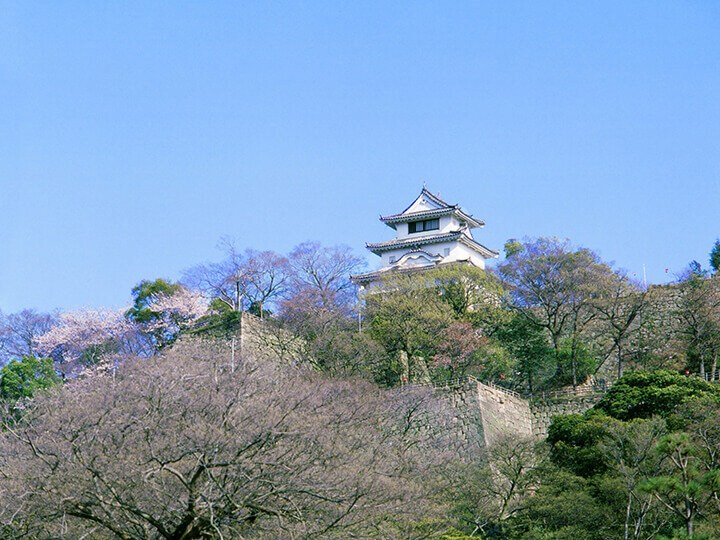 Exterior view of Marugame Castle