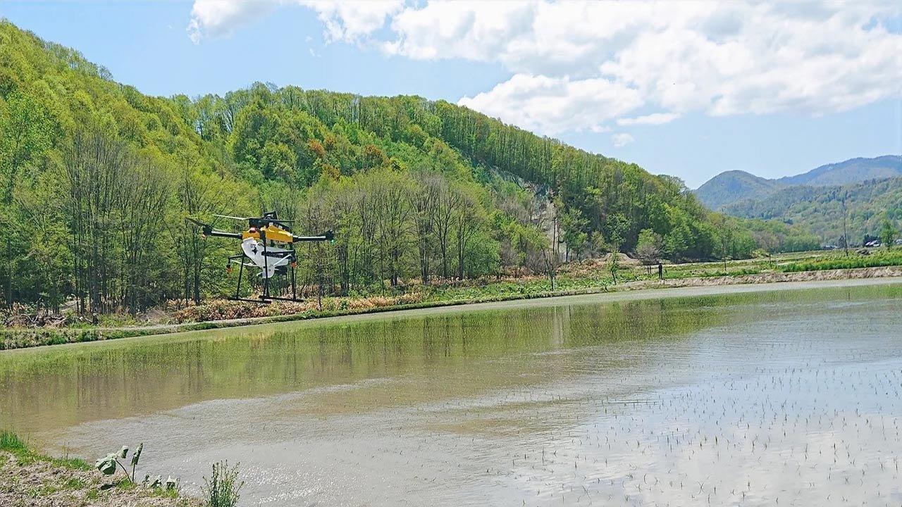 田んぼとドローン